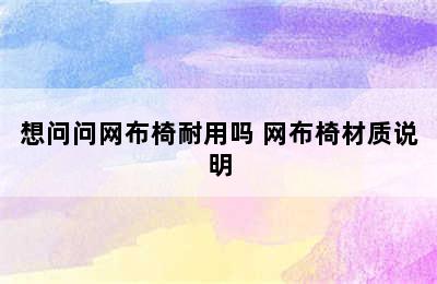 想问问网布椅耐用吗 网布椅材质说明